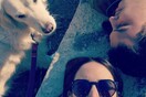10 νέες φωτογραφίες απ' τα τέλεια ζώα των αναγνωστών μας #838
