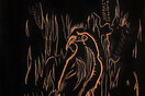 ΤΣΕΚ ΦΩΤΟ “Όταν ο Κόραξ λευκανθεί...” / ”When the Raven turns white...” | έκθεση της Κατερίνας Ζαχαροπούλου στην Crux Galerie