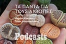 ΠΑΡΑΣΚΕΥΗ 25/03- ΕΧΕΙ ΠΡΟΓΡΑΜΜΑΣΤΕΙ-Λίθοπες: Όλα όσα πρέπει να ξέρετε για να κρατήσετε ζωντανά αυτά τα «πέτρινα» φυτά 