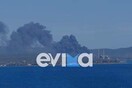 Εύβοια: Φωτιά κοντά στο εργοστάσιο της ΔΕΗ στο Αλιβέρι