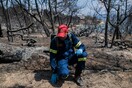 Φωτιά στο Mάτι: Αναβάθμιση του κατηγορητηρίου σε βαθμό κακουργήματος για πέντε στελέχη της Πυροσβεστικής