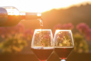 Κλιματική αλλαγή: «Στη Νορβηγία φτιάχνουμε κρασί»
