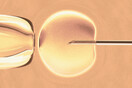 Εξωσωματική γονιμοποίηση: Αυξάνεται το όριο ηλικίας -Οι αλλαγές στη κρυοσυντήρηση ωαρίων 