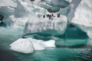 Emperor penguins have an unlikely robot ally as they face threats at the edge of the world