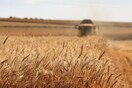 ΟΗΕ: Σχεδόν 25 εκατ. τόνοι σιτηρών αποκλεισμένοι στην Ουκρανία