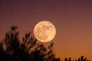 Πανσέληνος «των λουλουδιών» και ολική έκλειψη Σελήνης τη Δευτέρα - Εν μέρει ορατή και από την Ελλάδα