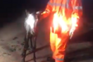 Μέτσοβο: Πυροσβέστες έσωσαν άλογο που εγκλωβίστηκε σε υπόνομο - Βίντεο από την επιχείρηση διάσωσης