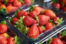 FDA: Έξαρση ηπατίτιδας Α πιθανόν συνδέεται με βιολογικές φράουλες