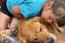 Τέξας: Οχτώ golden retriever προσπαθούν να παρηγορήσουν τους επιζώντες του μακελειού