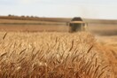 Ουκρανός πρεσβευτής καταγγέλλει ότι η Τουρκία αγοράζει σιτηρά που έκλεψε η Ρωσία από την εισβολή