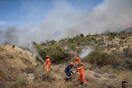 Νέα φωτιά στην Αττική - Στις φλόγες οικοπεδικοί χώροι στα Μέγαρα