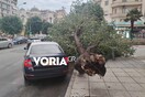 Θεσσαλονίκη: Σοβαρές ζημιές από το ξαφνικό μπουρίνι- Έπεσαν δέντρα σε αυτοκίνητα