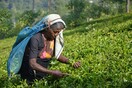 Σρι Λάνκα: «Πάρτε άδεια και καλλιεργείστε τις αυλές σας» - Φόβοι για σοβαρές ελλείψεις στα τρόφιμα