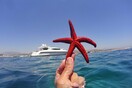 Καιρός: Κορυφώνεται ο καύσωνας- Πού θα φτάσει στους 41 βαθμούς το θερμόμετρο
