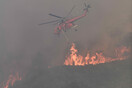 Φωτιά στην Ηλεία: Ολονύχτια μάχη με τις φλόγες, εκκενώθηκαν 4 χωριά- Επιχειρούν 195 πυροσβέστες