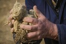Σε κατάσταση έκτακτης ανάγκης λόγω ξηρασίας 5 περιφέρειες του Βορρά - Σε κίνδυνο το 30% της ιταλικής αγροτικής παραγωγής