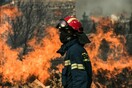 Φωτιά στο Πόρτο Γερμενό, κοντά σε σπίτια