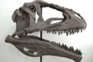Ένας γιγάντιος δεινόσαυρος ανακαλύφθηκε στην Αργεντινή - Άγνωστο είδος