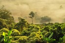 Ο Αμαζόνιος καταγράφει το υψηλότερο ποσοστό αποψίλωσης των δασών εδώ και έξι χρόνια