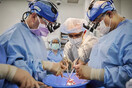 Μεταμοσχεύθηκαν επιτυχώς 2 καρδιές χοίρου σε εγκεφαλικά νεκρούς ασθενείς