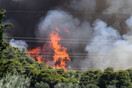 Πάτρα: Δεύτερη νύχτα φωτιάς στην Καλλιθέα- Επιχειρούν 120 πυροσβέστες