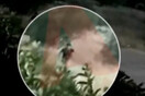 «Βίντεο-ντοκουμέντο με τη στιγμή που εμπρηστής βάζει φωτιά σε δέντρο»