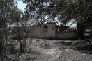 Φωτιά στην Πεντέλη: Η επόμενη ημέρα -Μαύρο τοπίο, οι φλόγες «κατάπια» γη και περιουσίες