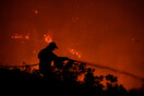 Μάχη με τη φωτιά στον Έβρο - Οι φλόγες κινούνται προς παρθένες δασικές εκτάσεις