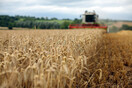 Η Ε.Ε. ζητά «ταχεία εφαρμογή» της συμφωνίας για τα σιτηρά - «Βήμα προς τη σωστή κατεύθυνση»