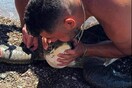 Ρόδος: Συγκλονιστική διάσωση θαλάσσιας χελώνας που είχε μπλεχτεί σε σχοινιά - Δύτης της έκανε τεχνητή αναπνοή