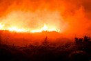 Φωτιά στον Έβρο: «Εκκενώστε τώρα προς Σουφλί»- Μήνυμα από το 112 στους κατοίκους της Δαδιάς