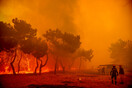 Δύσκολη η κατάσταση στη φωτιά στη Λέσβο - Εκκενώνεται το χωριό Βρίσα