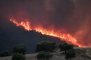 Πυρκαγιές σε όλη τη χώρα: Καταστροφή στο Εθνικό Πάρκο Δαδιάς, μάχη με φωτιές σε Λέσβο, Ηλεία, Κρήτη, Μεσσηνία και Πέλλα