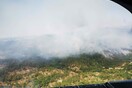 Φωτιά στη Δαδιά: Μάχη στο νοτιοδυτικό πύρινο μέτωπο- Προσπάθεια για νέα ζώνη άμυνας