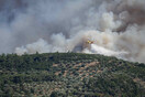 Πυροσβεστική: 9 συλλήψεις για εμπρησμό σε μία εβδομάδα- Η κατάσταση στα πύρινα μέτωπα σε Λέσβο και Δαδιά