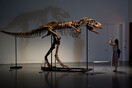 Σκελετός δεινοσαύρου πωλήθηκε έναντι $6,1 εκατ. σε δημοπρασία - Έξαλλοι οι επιστήμονες