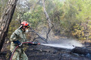Καίγεται για 8η ημέρα το δάσος Δαδιάς- Σε εξέλιξη και η φωτιά στη Λέσβο