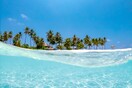 Νησί των Μαλδίβων αναζητά τον νέο «ξυπόλυτο, περιπετειώδη, εξωστρεφή» βιβλιοπώλη του 