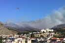Φωτιά στη Χαλκίδα: Προς τη Νέα Λάμψακο κατευθύνονται οι φλόγες - Τρία τα πύρινα μέτωπα