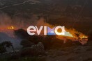 Εύβοια: Υπό έλεγχο η φωτιά στους Ραπταίους