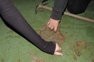 Γαλλία: Ακτιβιστές γέμισαν της τρύπες γηπέδου γκολφ – Οι λόγοι της διαμαρτυρίας τους