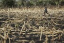 Κέρας της Αφρικής: 22 εκατ. άνθρωποι σε κίνδυνο λιμού εξαιτίας της ξηρασίας - Η προειδοποίηση του ΟΗΕ