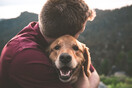 Οι σκύλοι δακρύζουν από χαρά όταν ξαναβλέπουν τους ανθρώπους τους