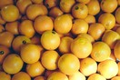 Απαγορευμένοι καρποί: Τελικά, δεν είναι όλα τα φρούτα vegan και φταίει το shellac