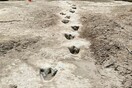 Dinosaur tracks from 113M years ago have become visible amid drought