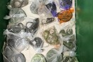Μετέφερε 1.700 άγρια ζώα κόστους 739.000$ από το Μεξικό στις ΗΠΑ – Μερικά στο παντελόνι του