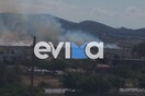 Εύβοια: Φωτιά στα Κριεζά - Κοντά σε σπίτια οι φλόγες