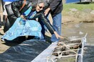 3,000-Year-Old Canoe Found in Wisconsin Is Oldest One Ever Discovered in Great Lakes