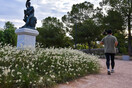 Η πλατεία Θησείου ανακατασκευάστηκε - Μεσογειακά φυτά στην αρχαιολογική «καρδιά» της Αθήνας