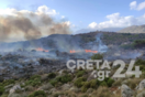 Ηράκλειο: Έκτη φωτιά στο δάσος της Κέρης, μέσα σε 4 μήνες